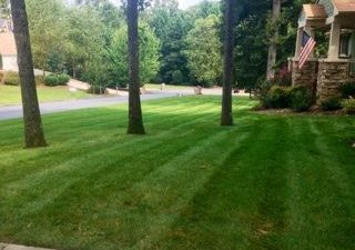 a manicured lawn maintained by Pannone’s Lawn Pros & Landscaping