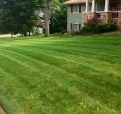 a manicured lawn maintained by Pannone’s Lawn Pros & Landscaping
