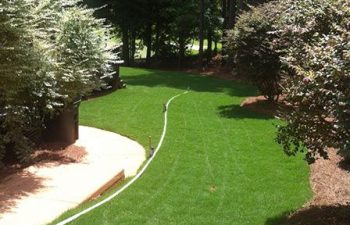 yard after new sod installation performed by Pannone’s Lawn Pros & Landscaping