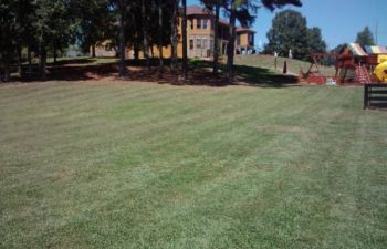 lawn maintained by Pannone’s Lawn Pros & Landscaping
