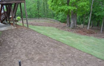 new sod installation by Pannone’s Lawn Pros & Landscaping
