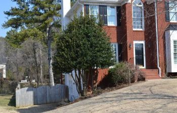 front yard before clean up service