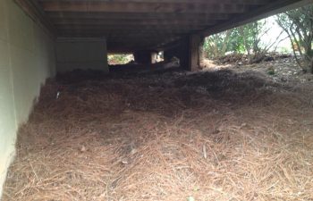 drainage installation by Pannone’s Lawn Pros & Landscaping