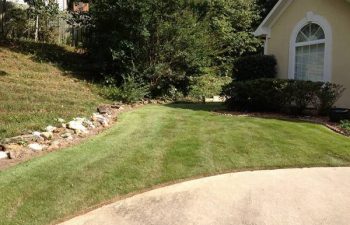 yard after new sod installation performed by Pannone’s Lawn Pros & Landscaping