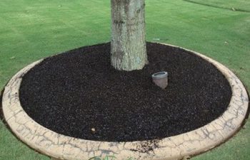 garden with plants installed by Pannone’s Lawn Pros & Landscaping