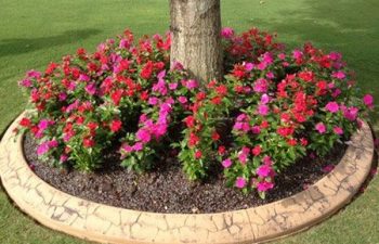 seasonal flowers planted by Pannone’s Lawn Pros & Landscaping