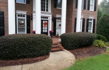 front yard before plant installation service performed by Pannone’s Lawn Pros & Landscaping