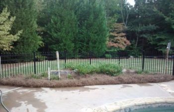mulch pinestraw installed by Pannone’s Lawn Pros & Landscaping