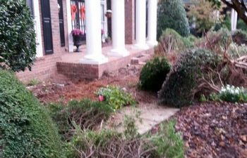 front yard being prepared for new plants installation