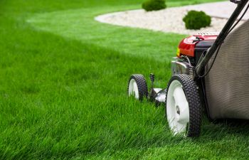 Lawn Mowing Cumming, GA