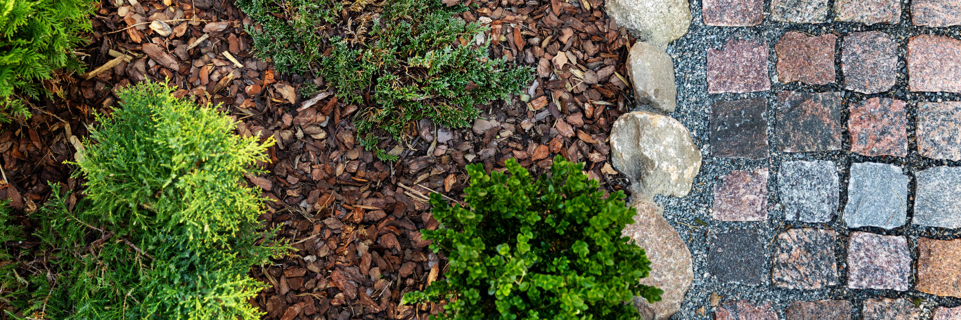 Mulch installed around green plants.