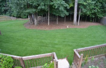 patio with a view of well-maintained lawn and trees