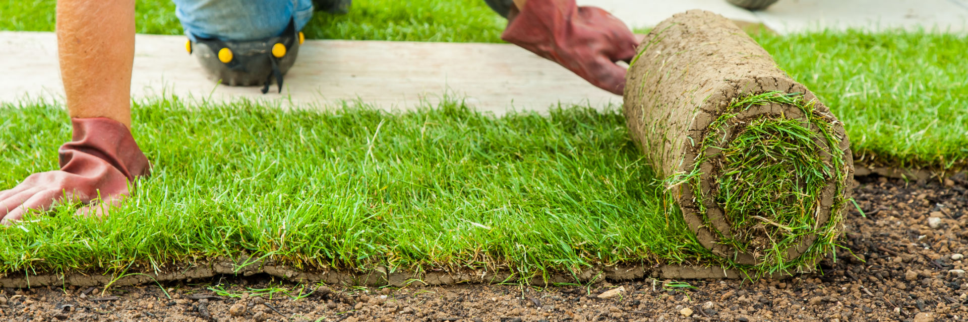 Sod Installation