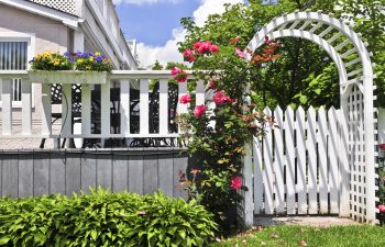 arbor trellis