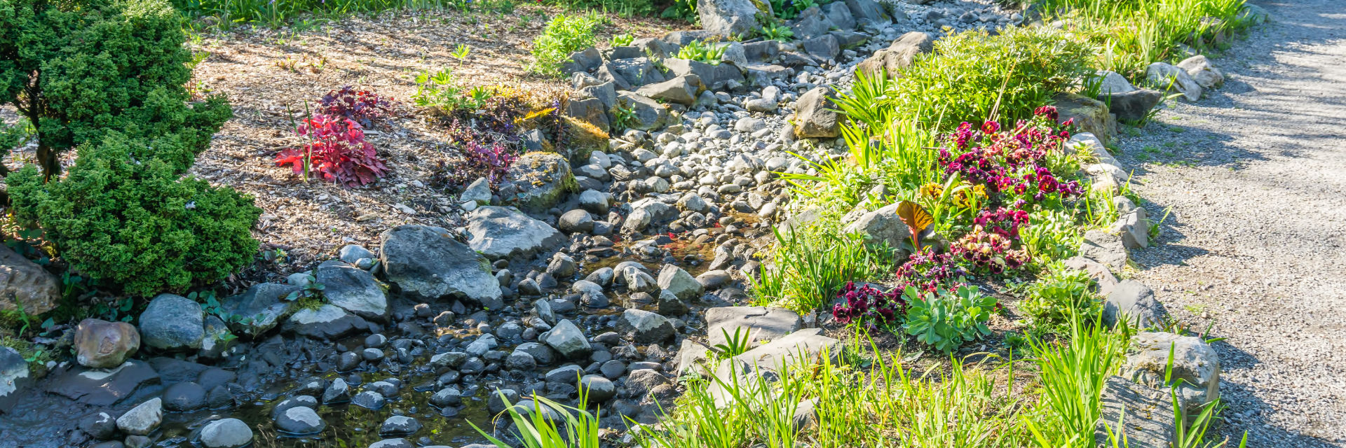 Dry Creek Bed