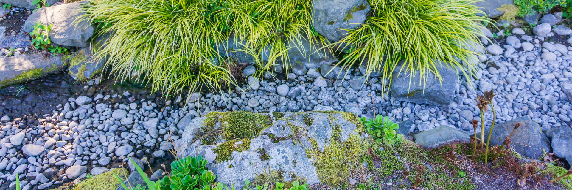 Dry Creek Bed