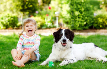 little girl playing with the dog in the backyard