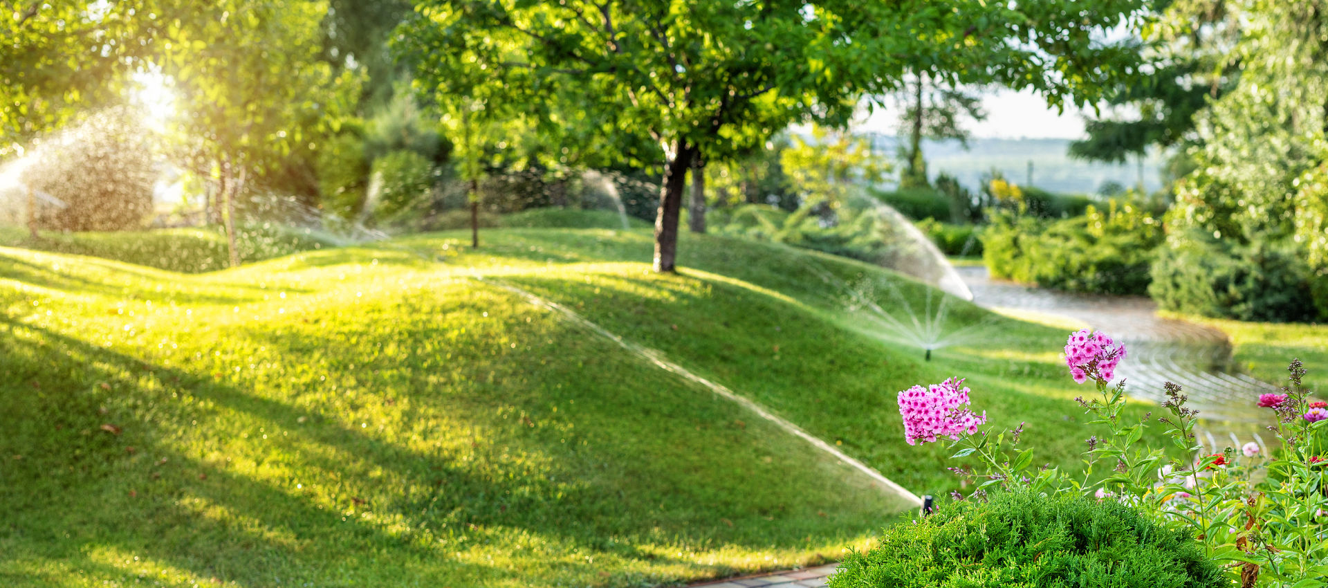 Ways To Make Your Sod Take Root Cumming, GA