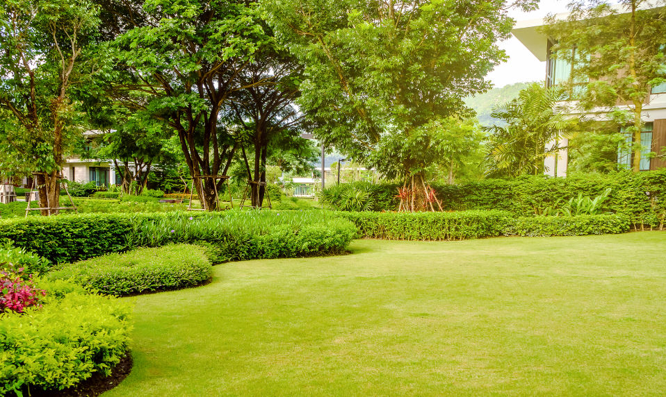 A landscaped backyard with a manicured lawn.