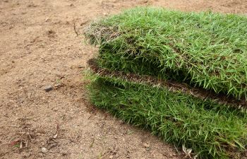 Sod Installation