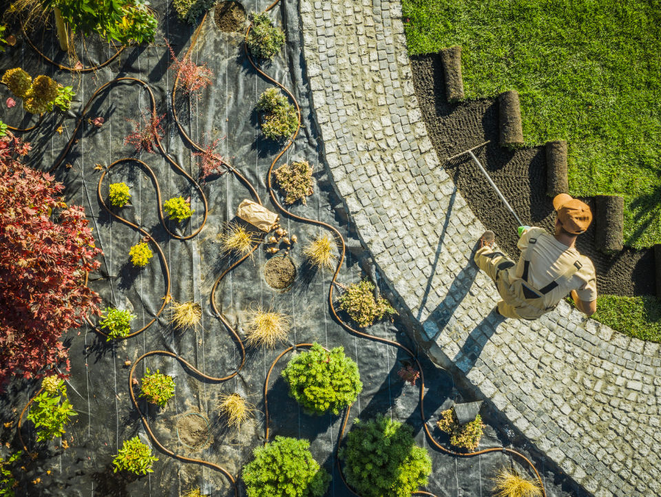 A professional landscaper installing sod.