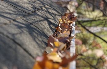 House Gutter Clogged with Fallen Leaves Cumming GA