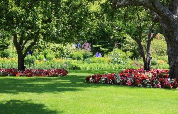 manicured lawn