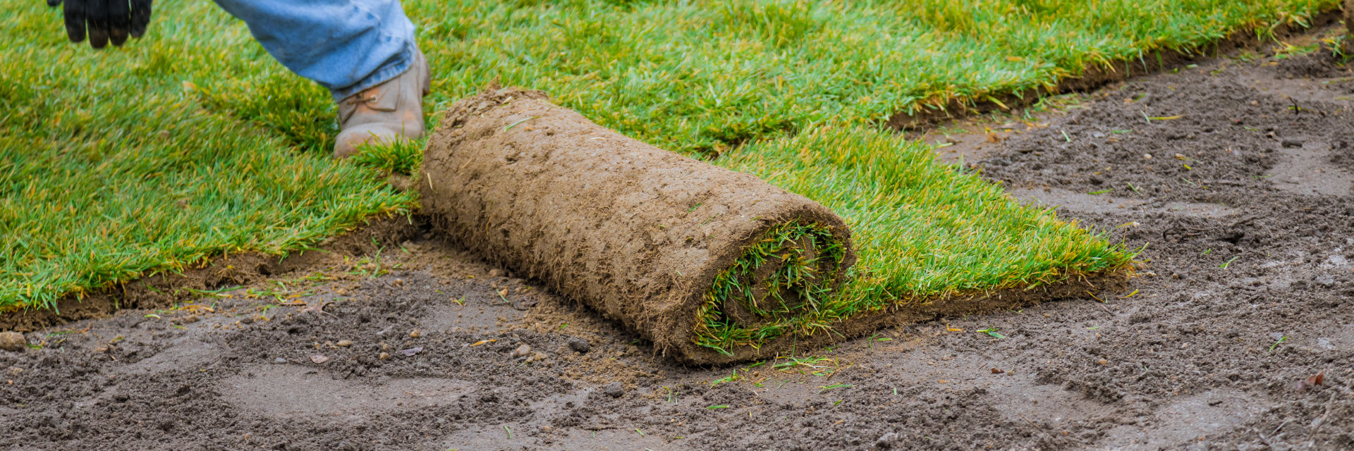 Sod Installation