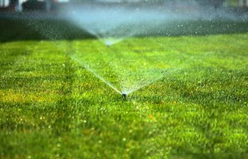 Lawn Sprinklers
