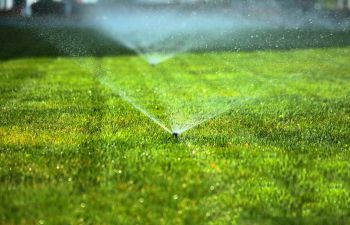 Lawn Sprinklers