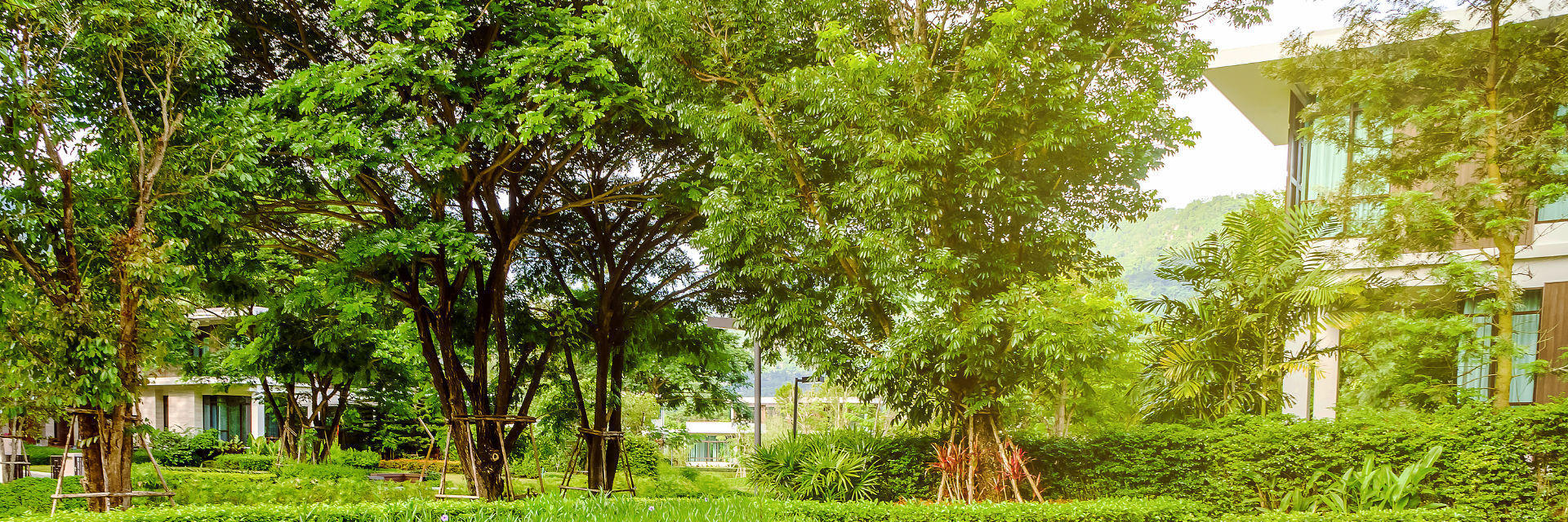 well-maintained garden with trees