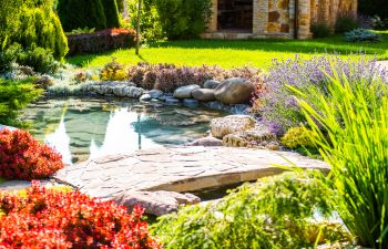 professionally landscaped back yard with water features