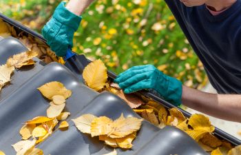 yard clean up