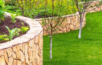 landscaped yard with a manicured lawn and hardscapes