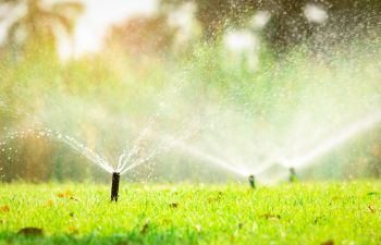 Sprinklers watering lawn.