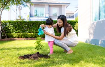 A mother and her little daughter watering a tree sapling in their backyard.