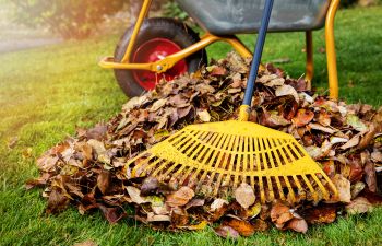 Fall yard cleanup