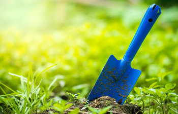 trowel stuck in the ground