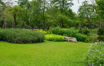 perfect lawn beautiful garden